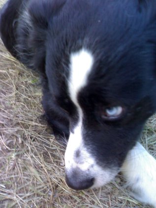 Friend @ Landjuweel Ruigoord: madmax...