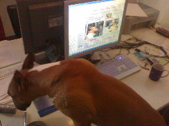 checking her favourite site