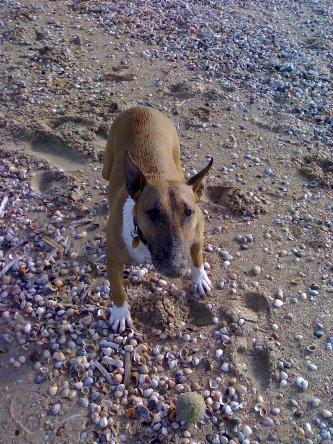 Our favourite game...