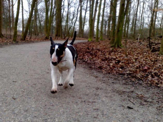 Veldpark