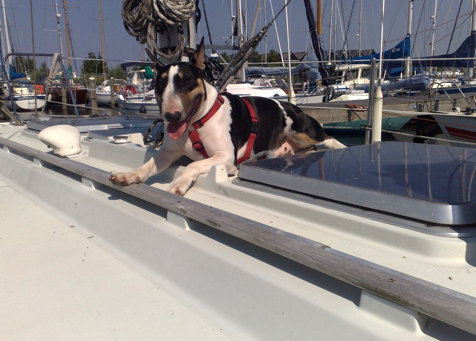 Schip bewaken