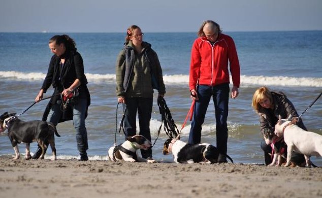 Poseren voor de groepsfoto...
