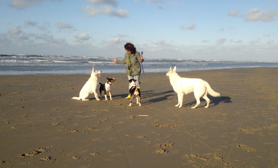 Susan heeft de aandacht ;--)