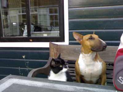 Oi you, where's ours?