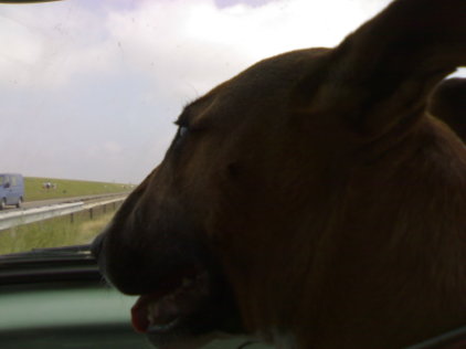 Afsluitdijk  - copiloot